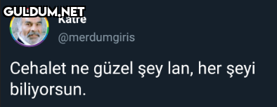 Katre @merdumgiris Cehalet...