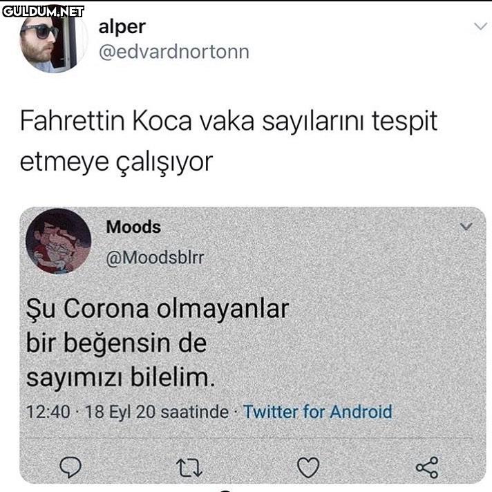 alper @edvardnortonn...