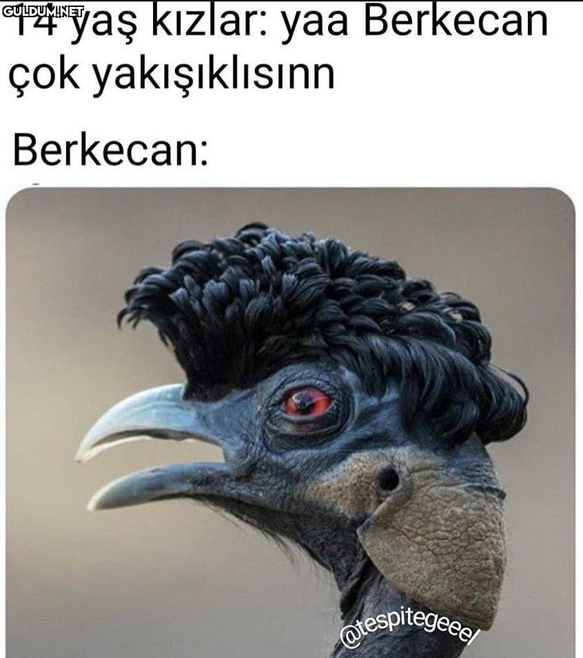 14 yaş kızlar: yaa...