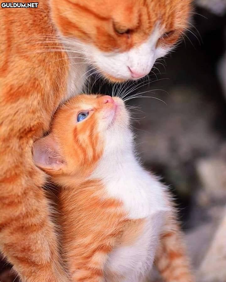 Günaydın 😊 [📸...