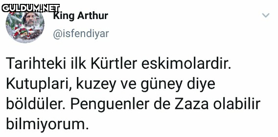 RT @mevzukurtlere1:   King...
