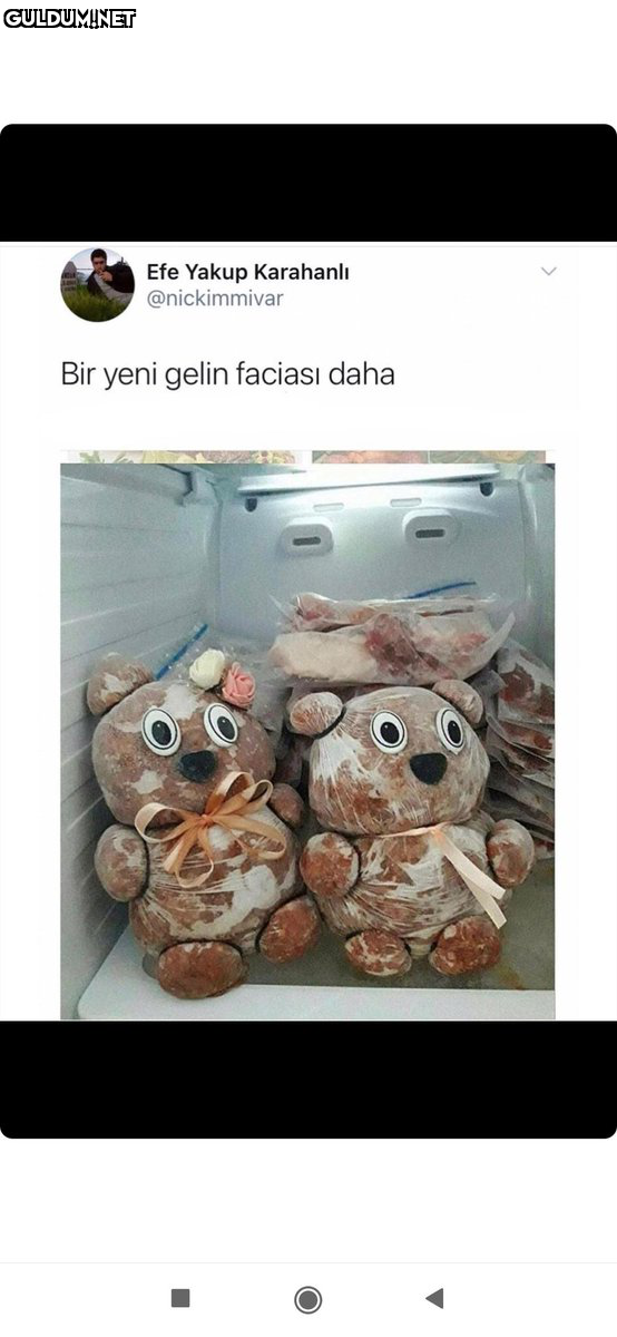 Efe Yakup Karahanlı...