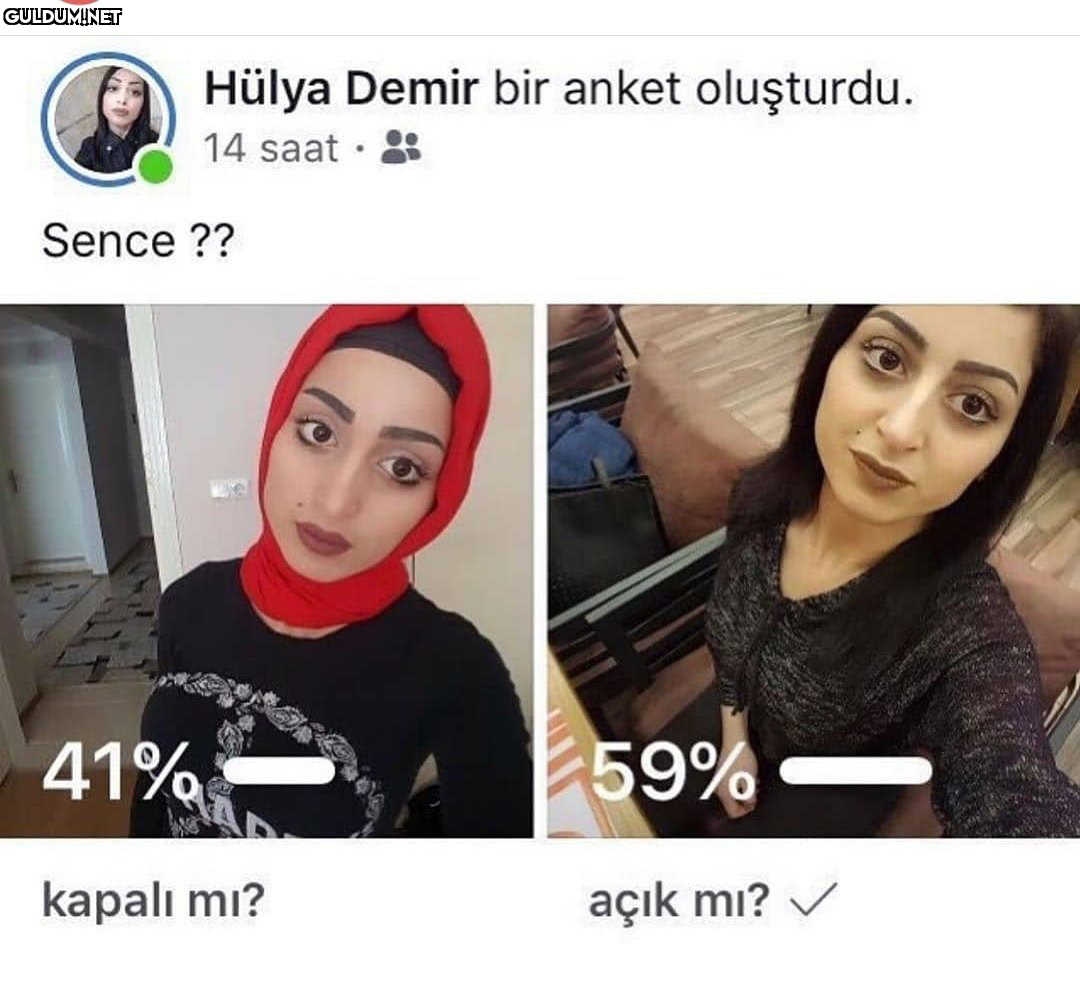 ?   Hülya Demir bir anket...