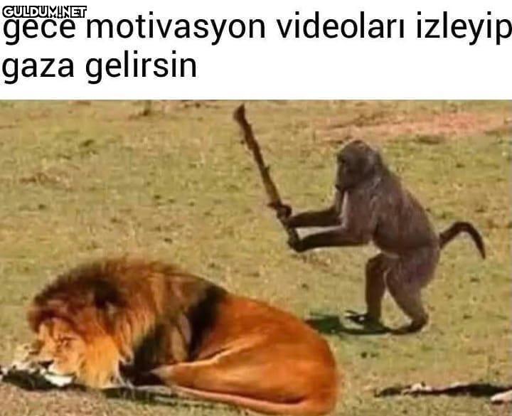 Ege fitness izliyorum...