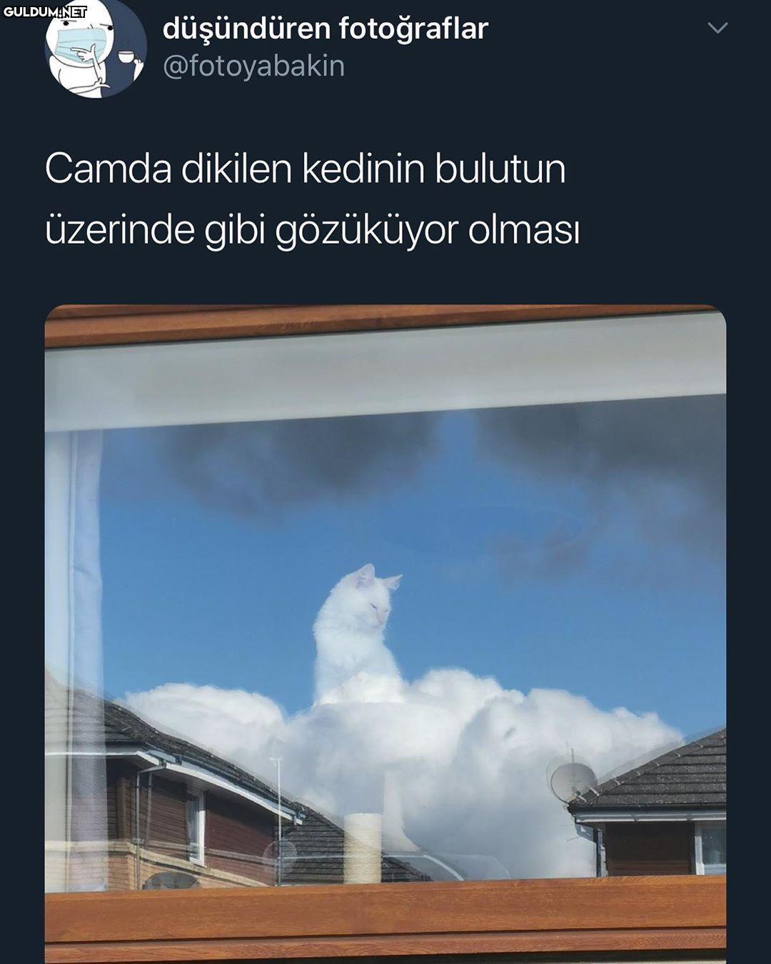 Güzel zamanlama düşündüren...