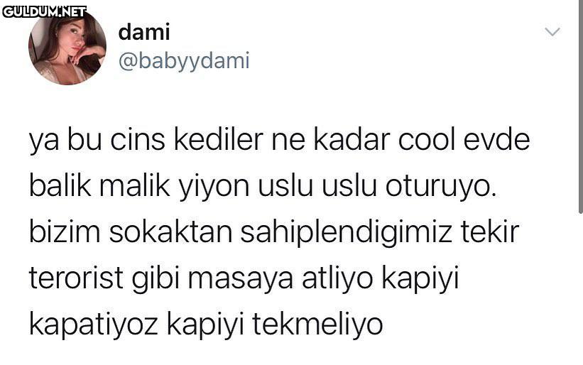 dami @babyydami ya bu cins...