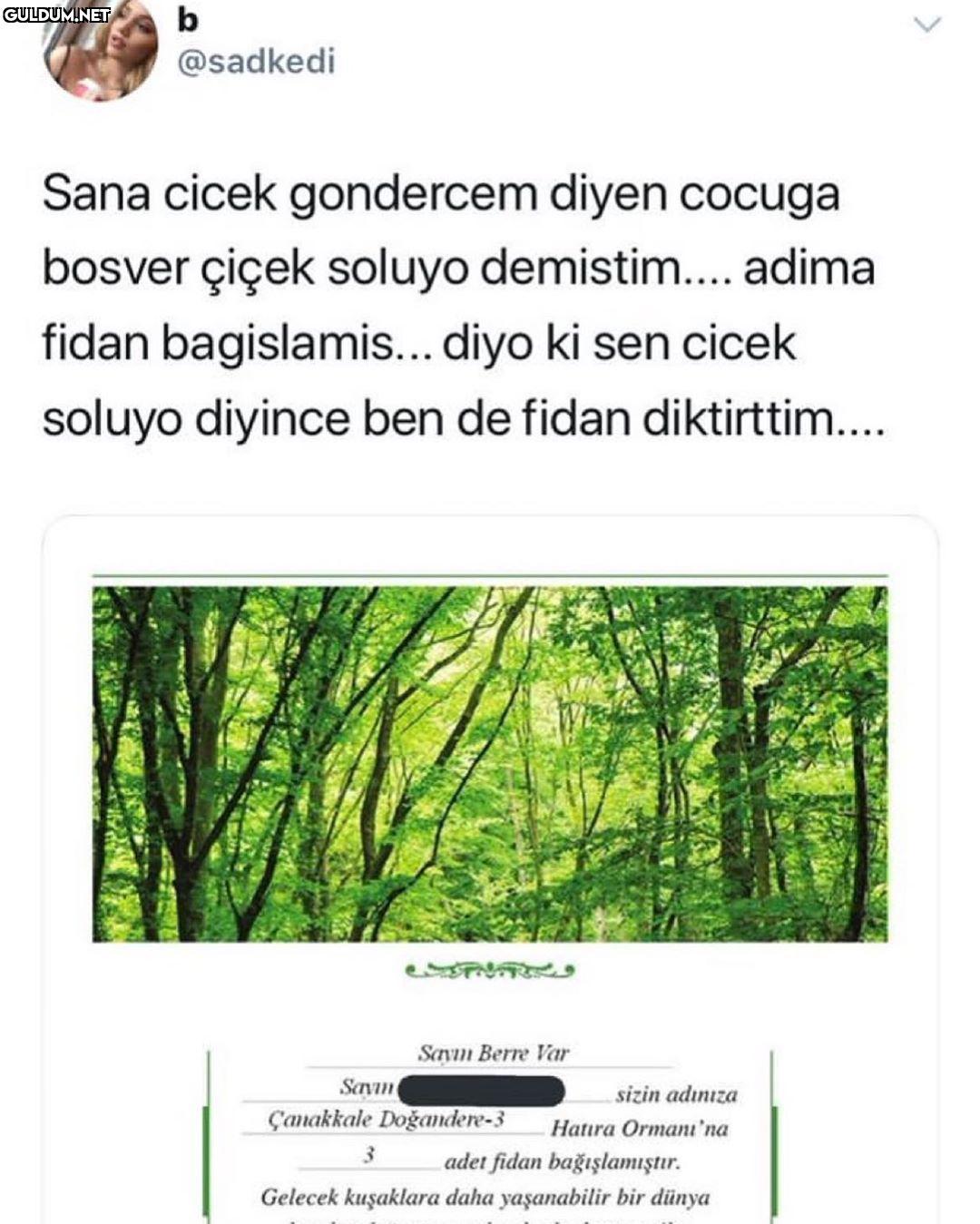 b @sadkedi Sana cicek...