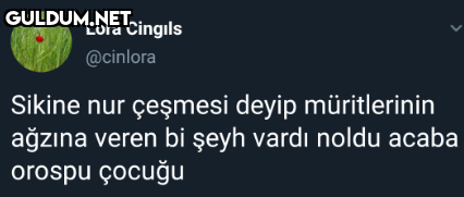 Lora Cingıls @cinlora...