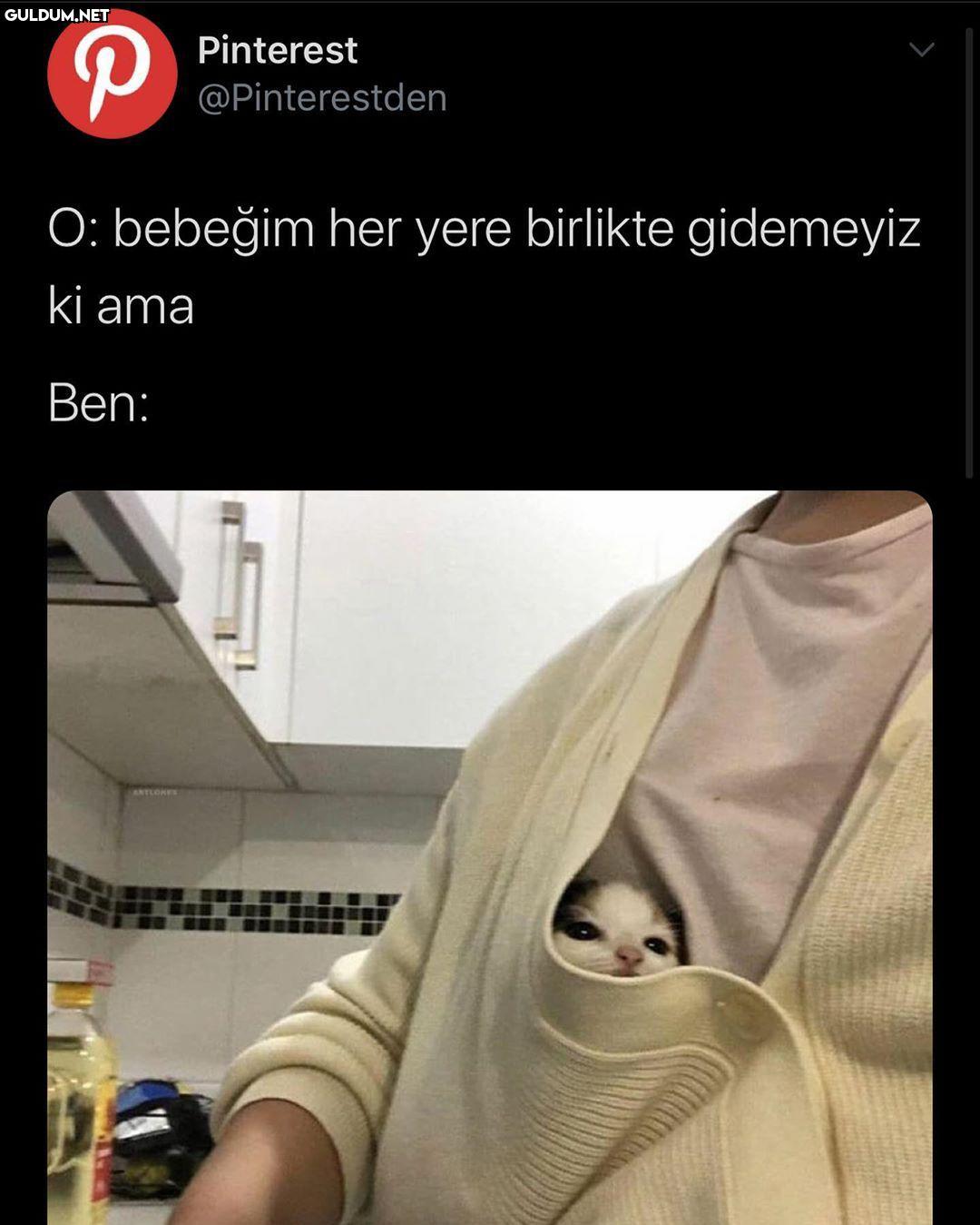 manita terörü Pinterest...