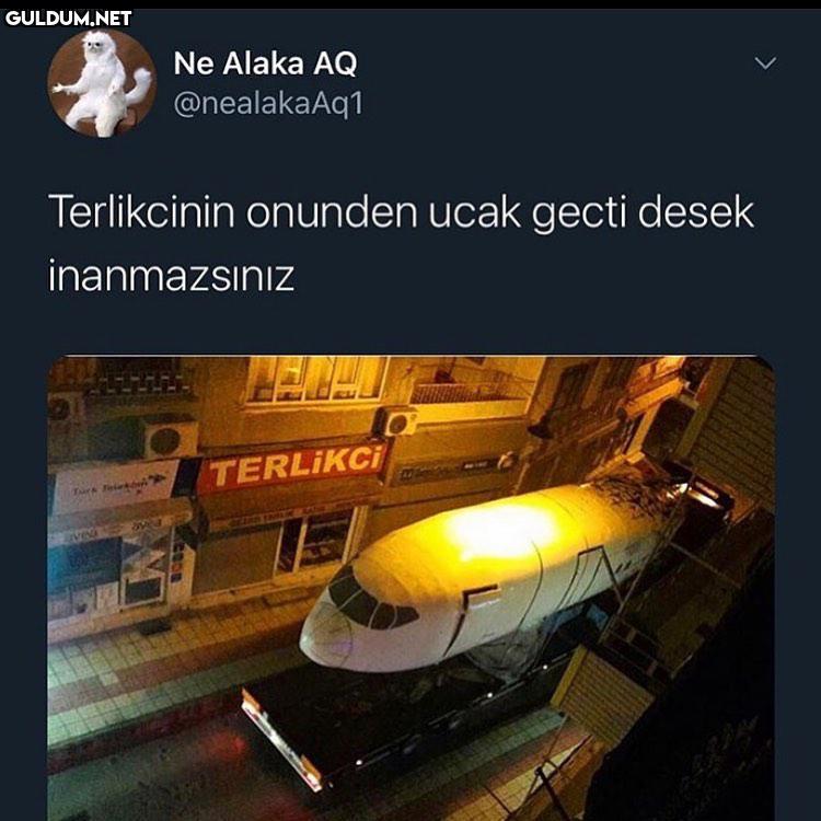 Meanwhile in Turkey Ne...