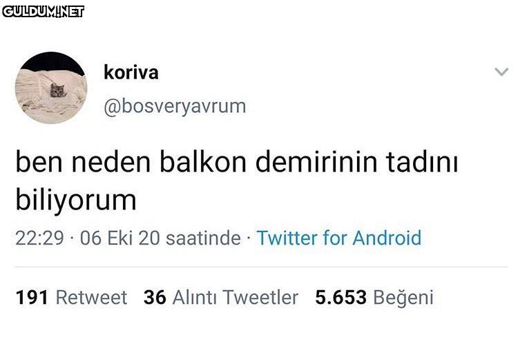 koriva @bosveryavrum ben...