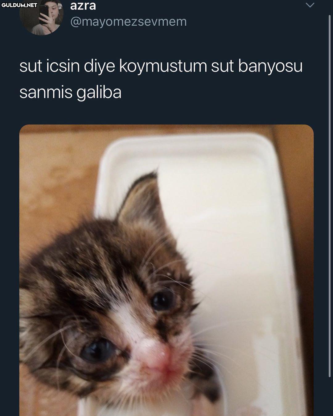 tipe bak yicem bunu azra...