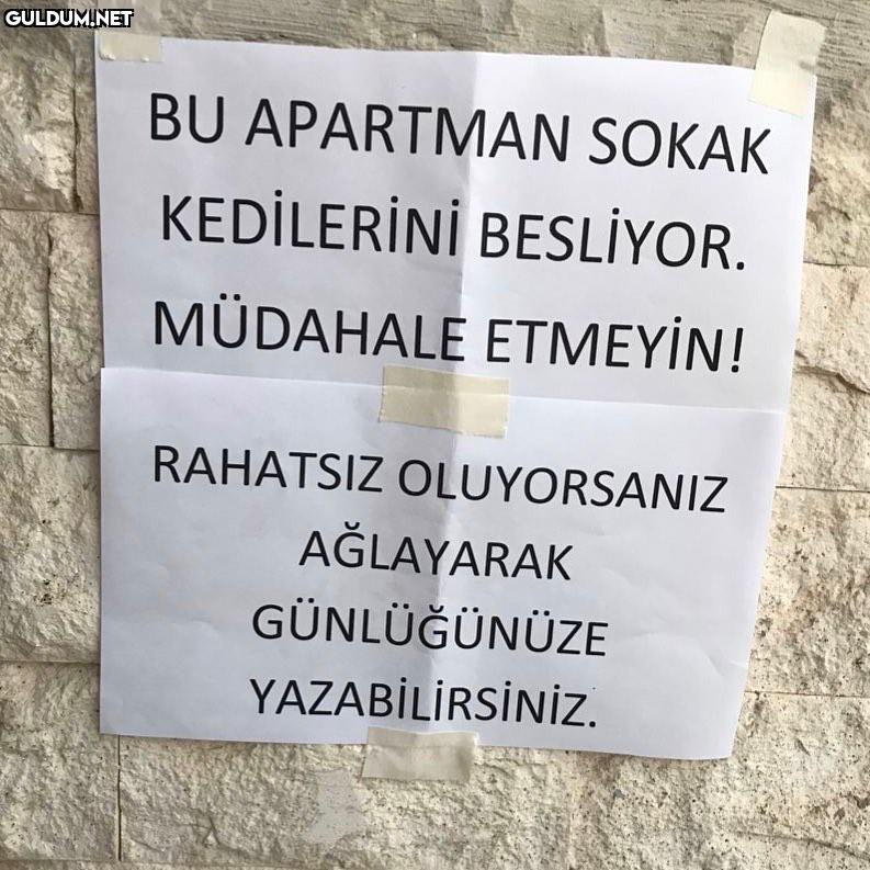 yönetici adammış BU...