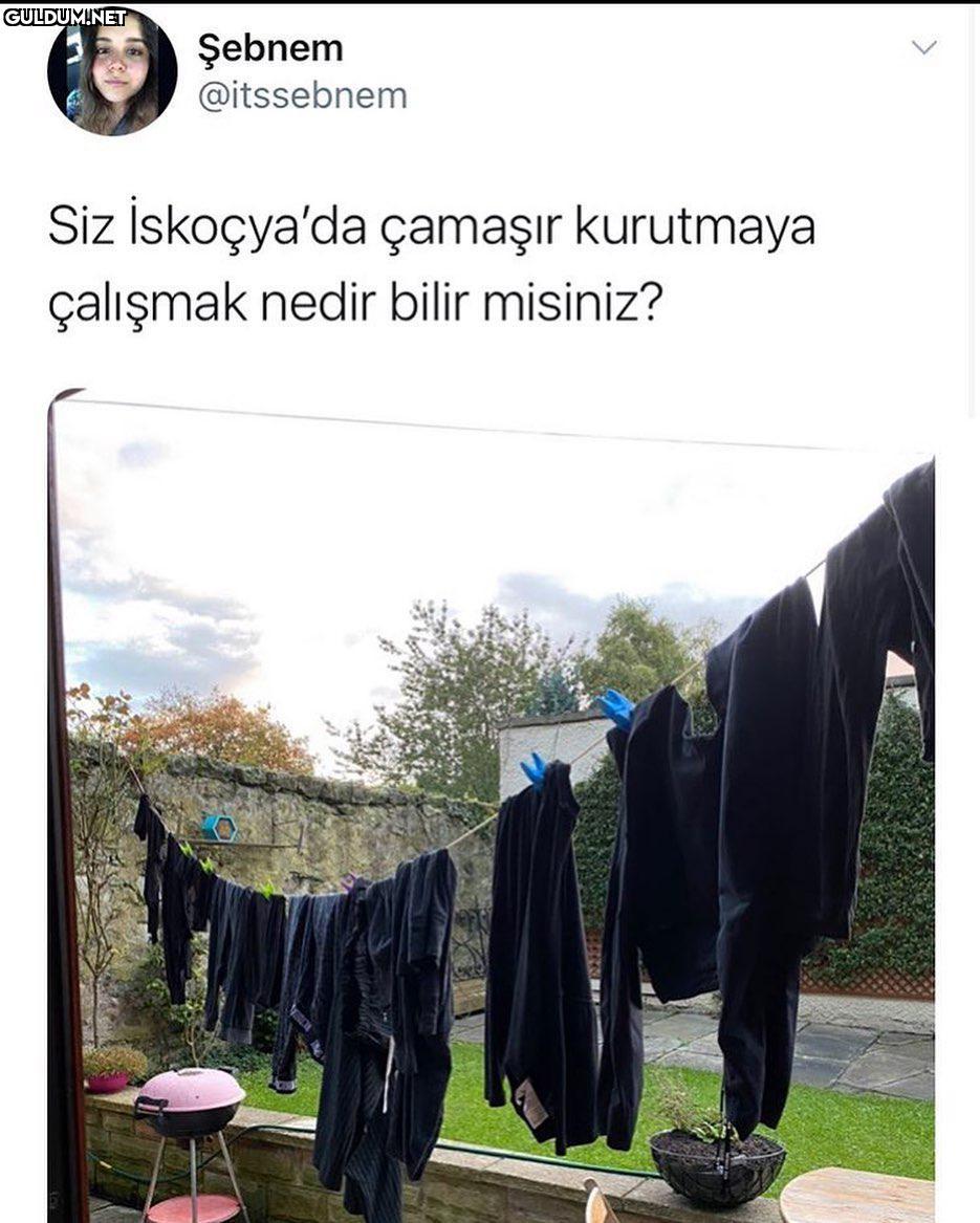 Sen Türkiye’de yaşamaya...