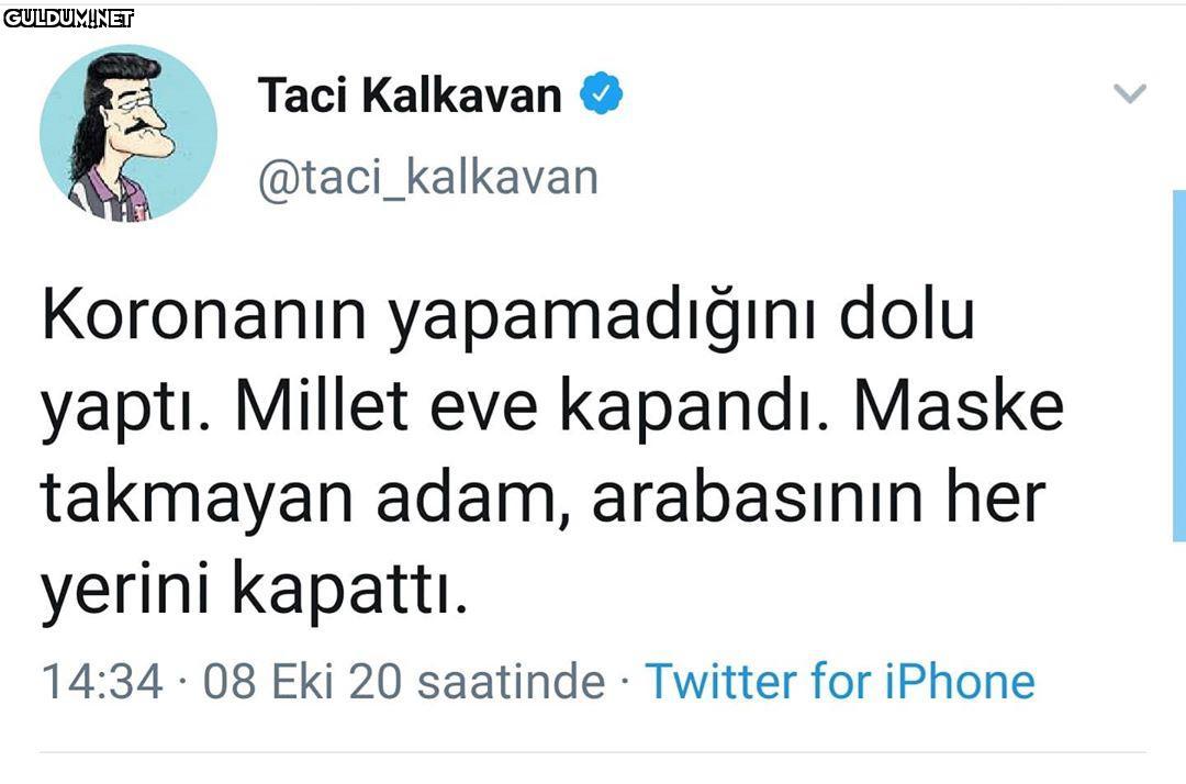 Taci Kalkavan O...