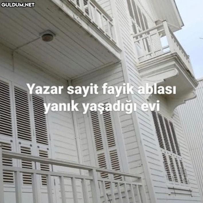 Yazar sayit fayik ablası...