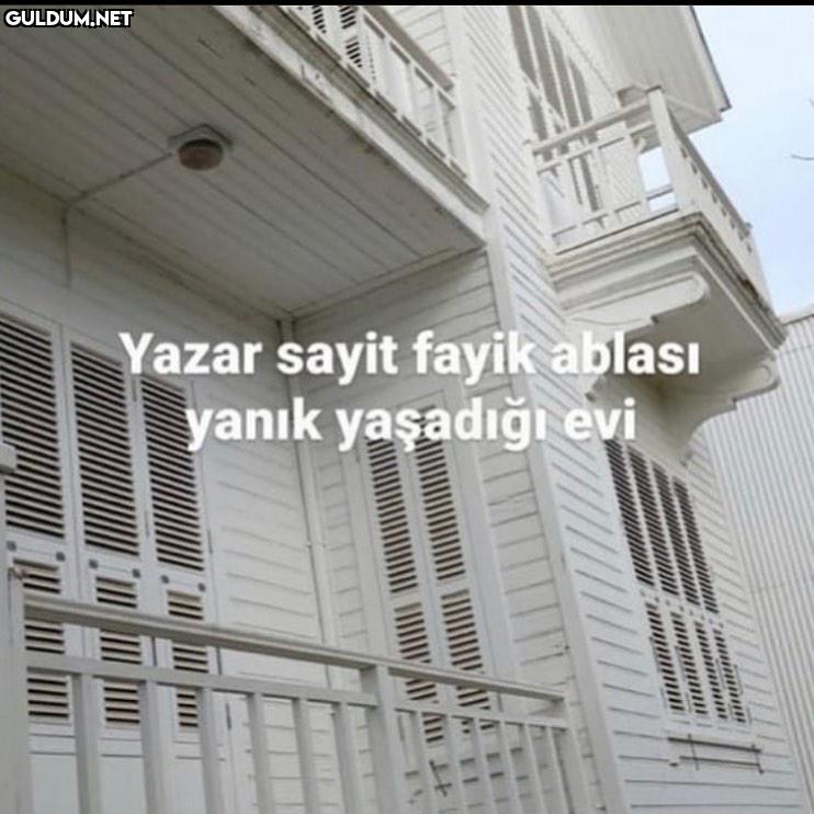 nE ?? aksjsnsksjssksjdksks...