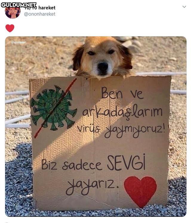 10/10 hareket @ononhareket...
