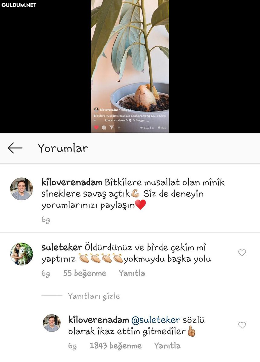 RT @efsoduyar: ANSJDJDDJDJ...