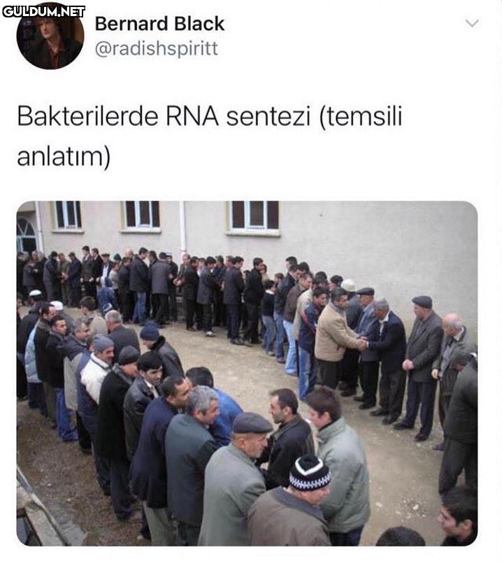 hayırlı cumalar Bernard...