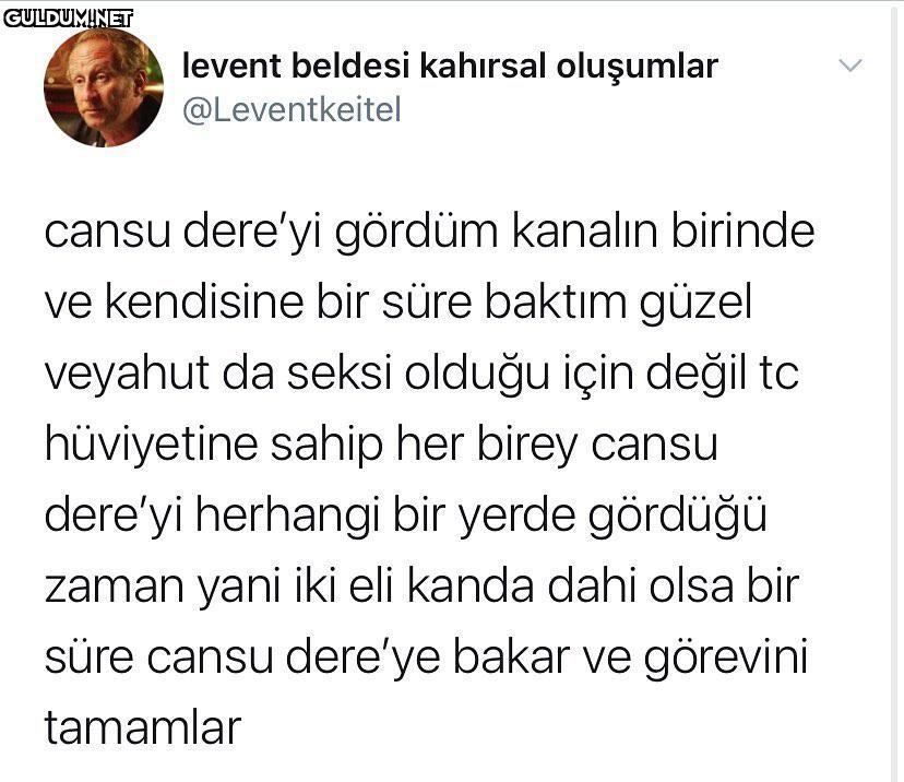 levent beldesi kahırsal...
