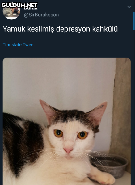 Burak @SirBuraksson Yamuk...