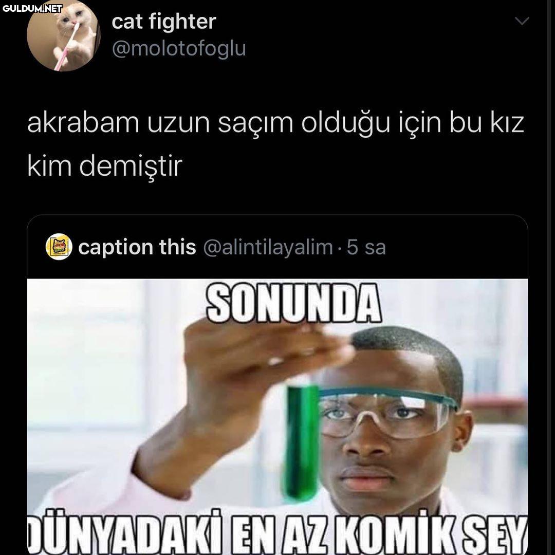 cat fighter @molotofoglu...