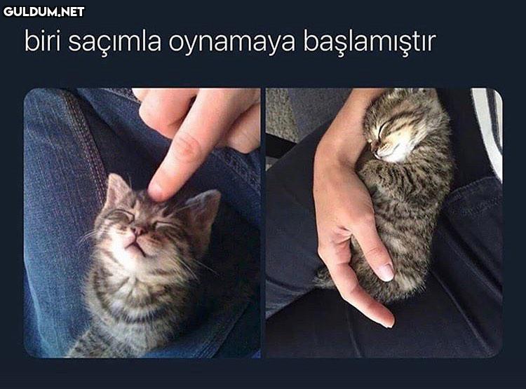 biri saçımla oynamaya...