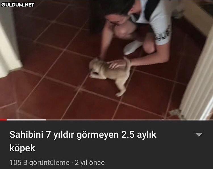 Sahibini 7 yıldır görmeyen...