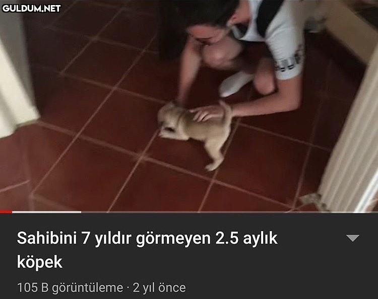 Sahibini 7 yıldır görmeyen...