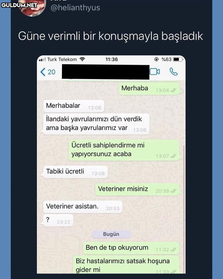 @helianthyus Güne verimli...