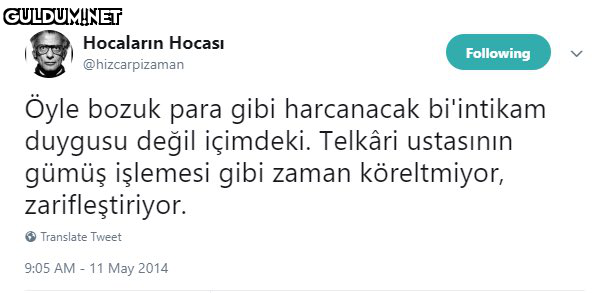 Hocaların Hocası Following...