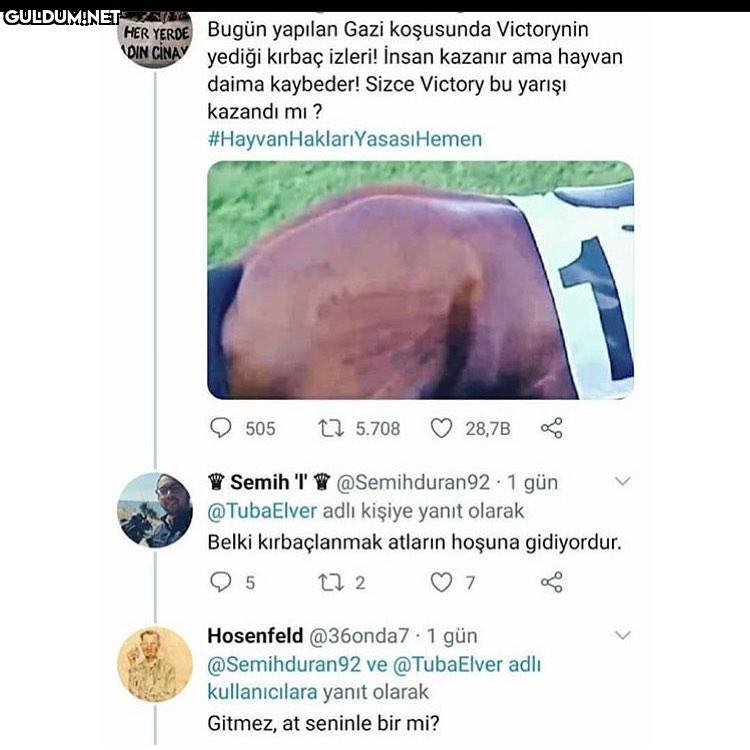 Ah be Semih HER YERDE...