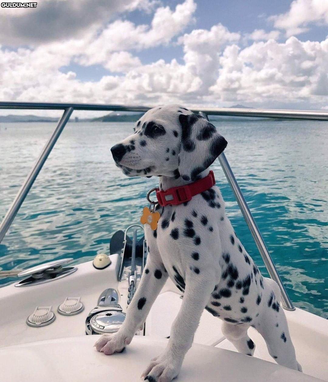 Günaydın ⚓😊  Kaynak