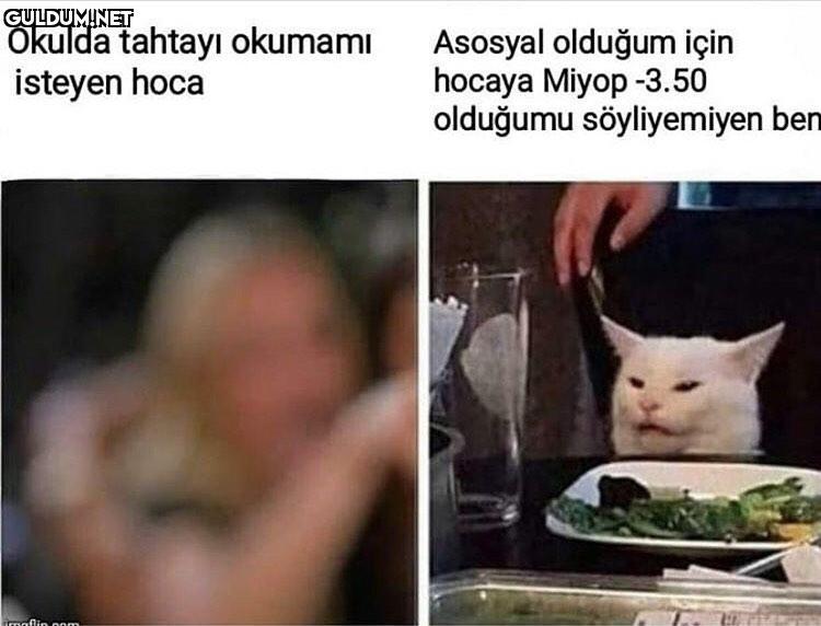 ALDNSLDKLDDK Okulda...