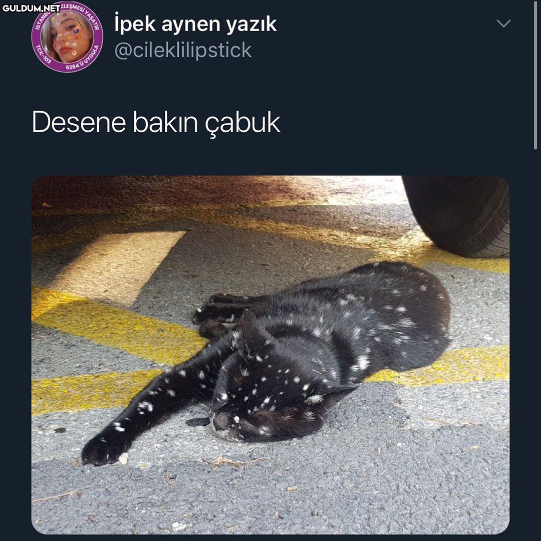 çabukk bakıp beğeninnn...