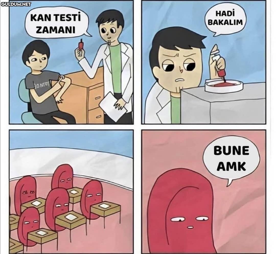Üst üste A demişler sizin...