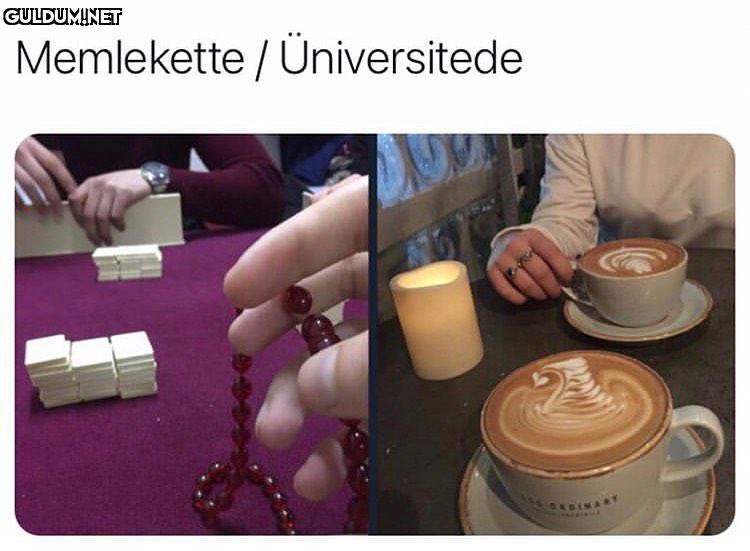 Memlekette / Üniversitede   Kaynak