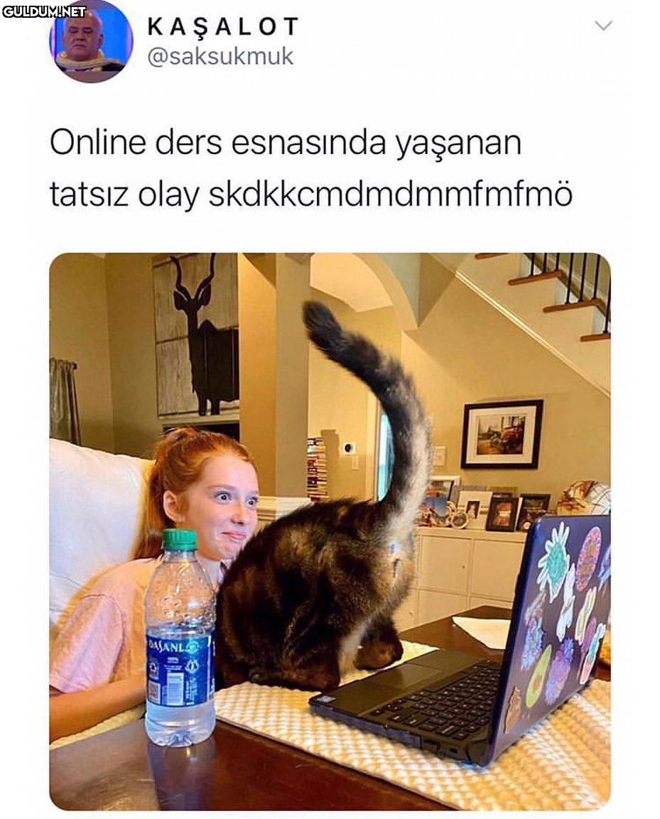 KAŞALOT @saksukmuk Online...