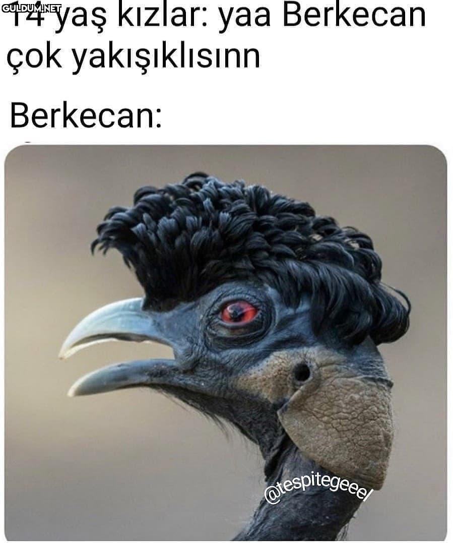 Çok doğru 14 yaş kızlar:...