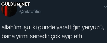 e @niktofilici allah'ım,...