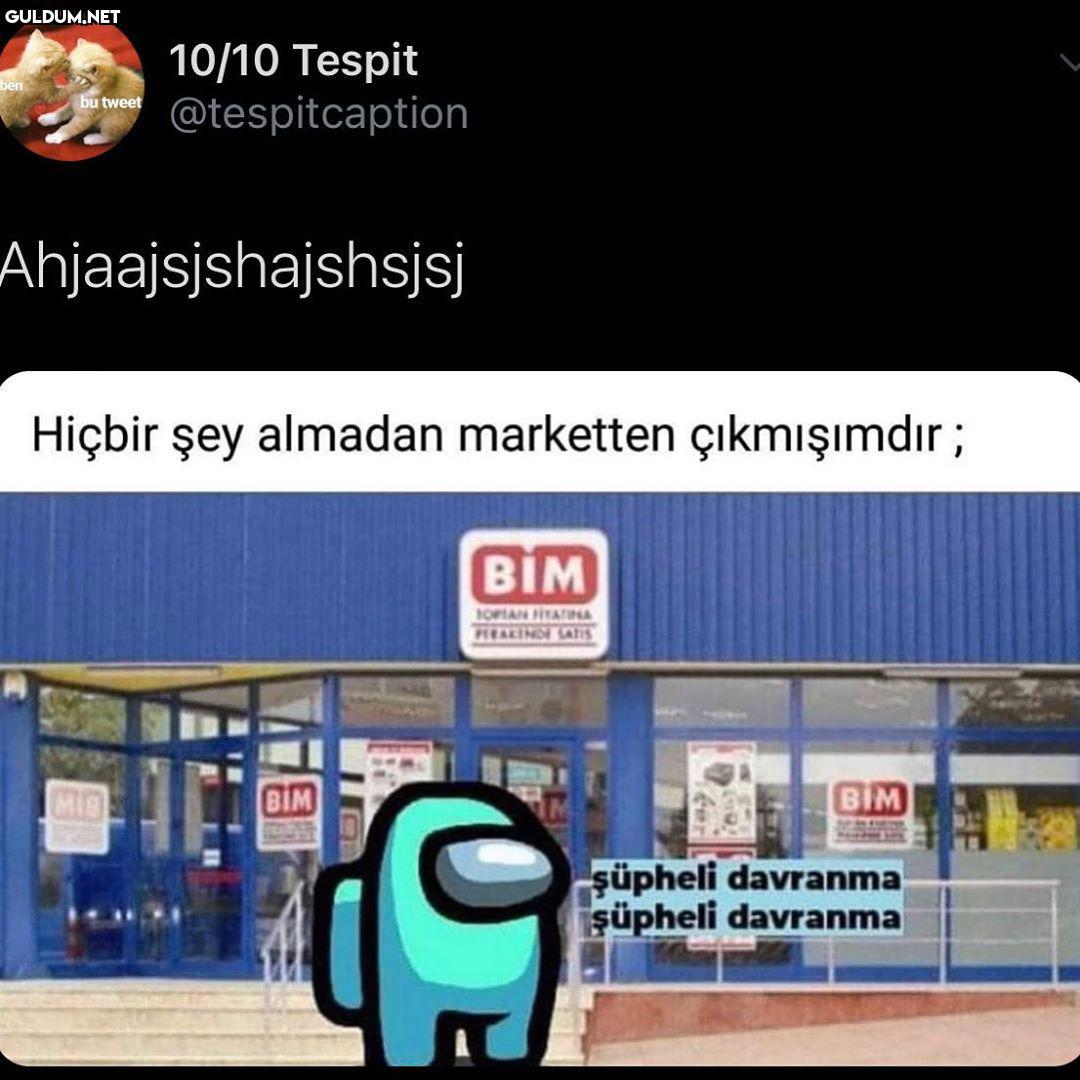 10/10 Tespit...