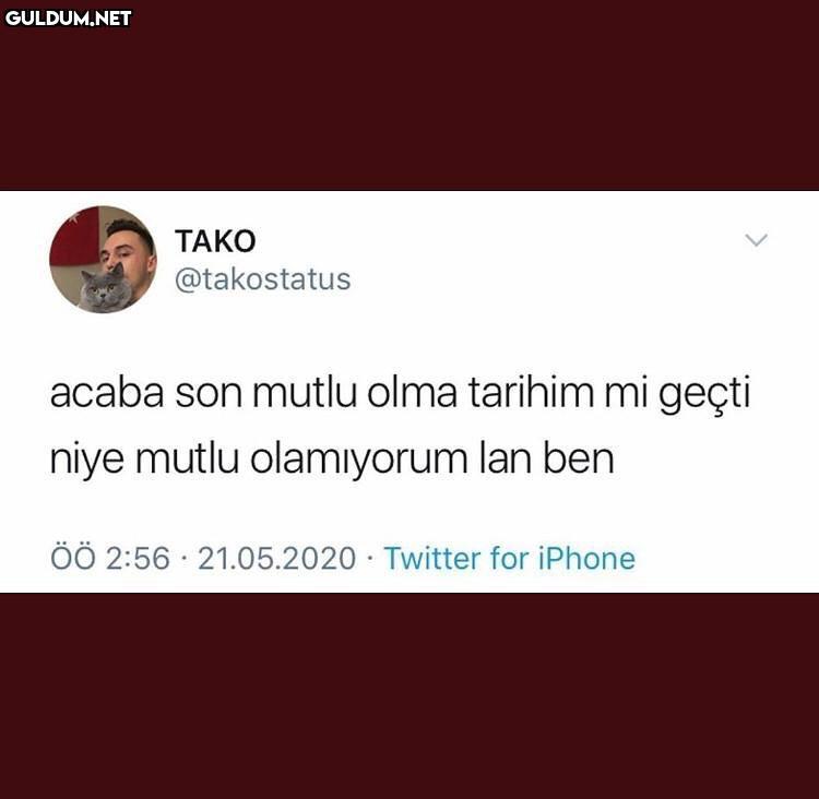 TAKO @takostatus acaba son...