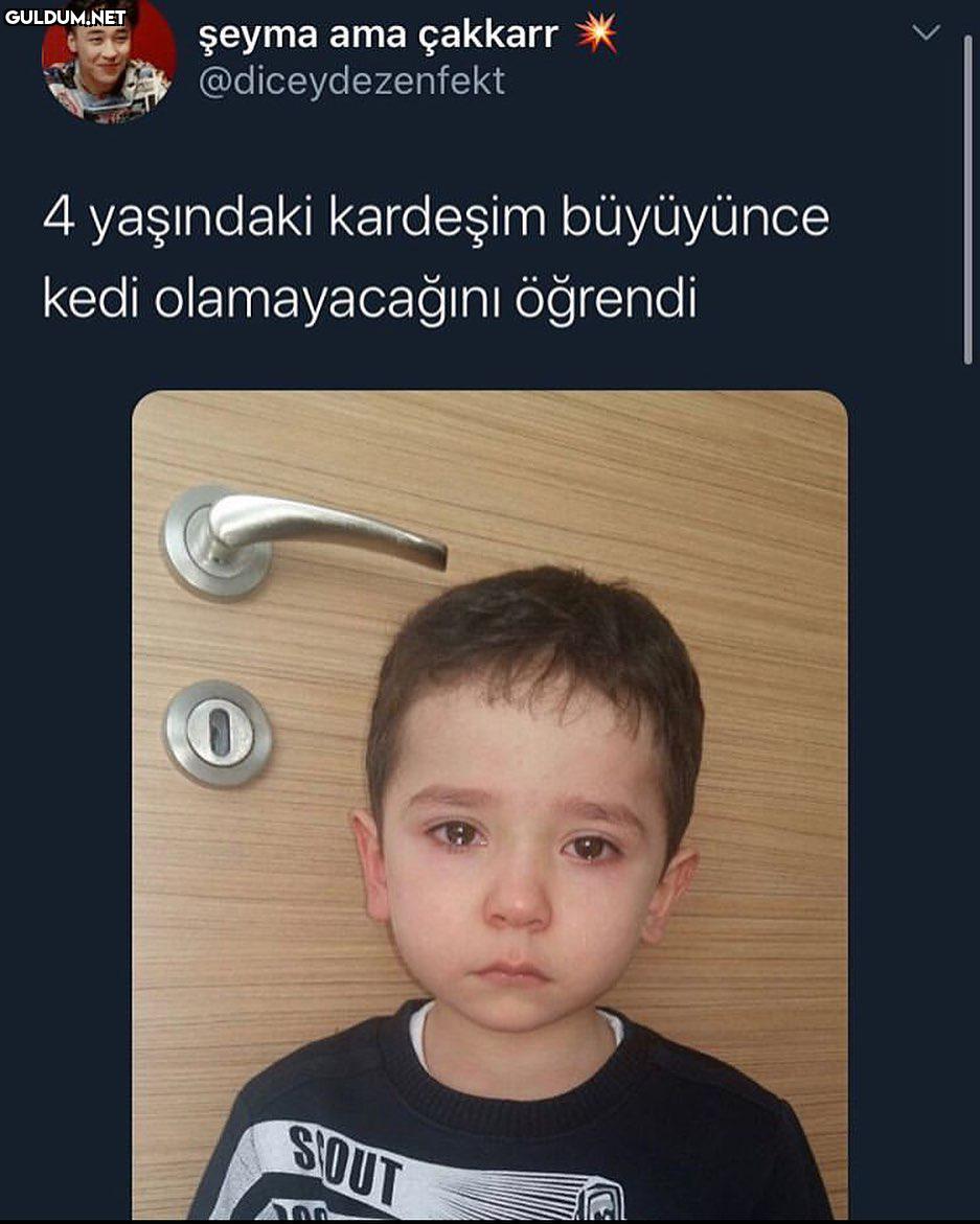 Yazık lan...