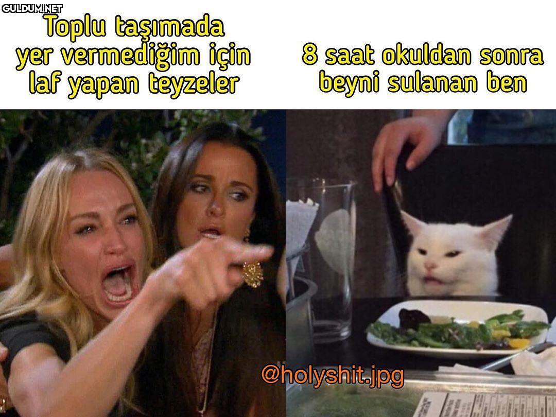 okuldan sonraki beyin...