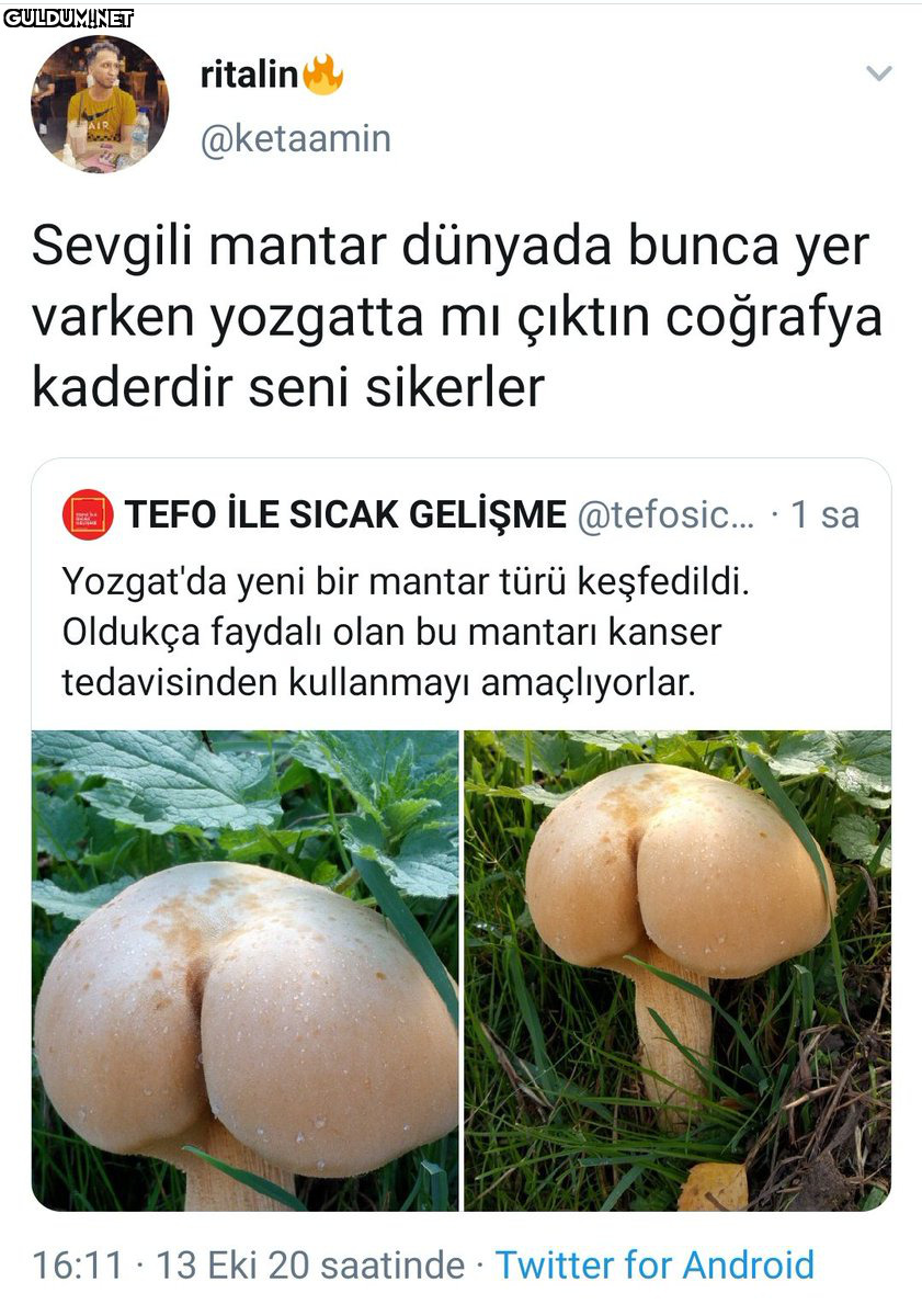 RT @neguzelsovdun:  ...