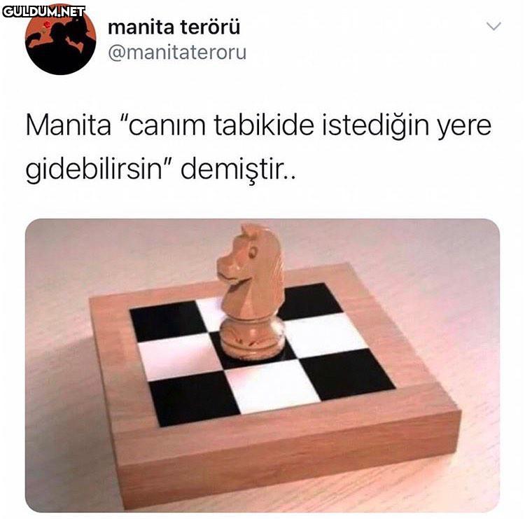 manita terörü...