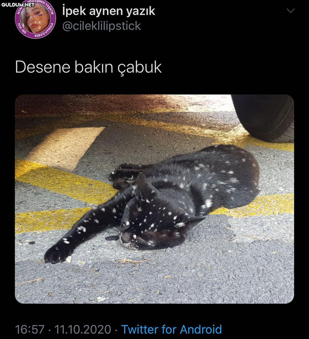 boya badana işi yapan...