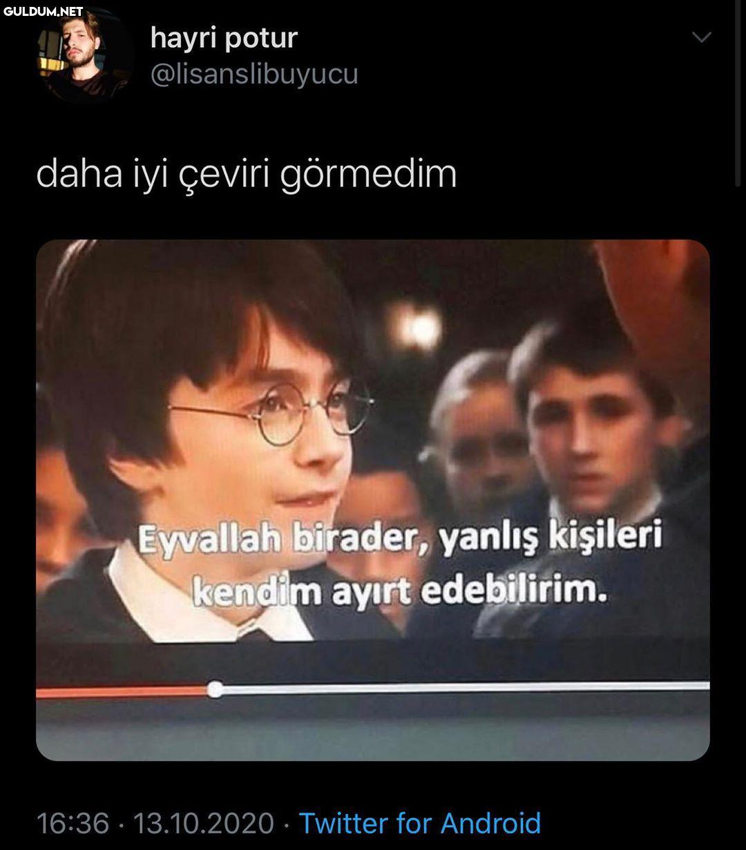 hayri potur...