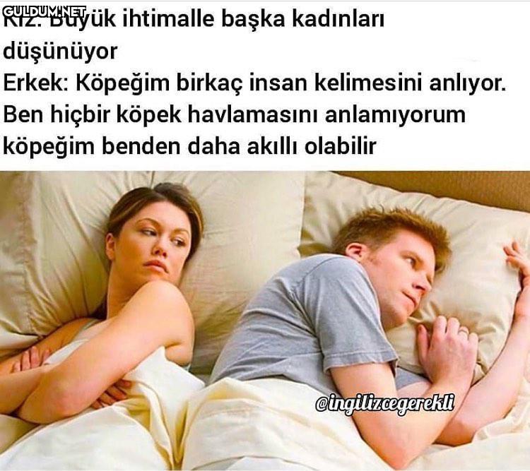 köpekler>insanlar Kız:...
